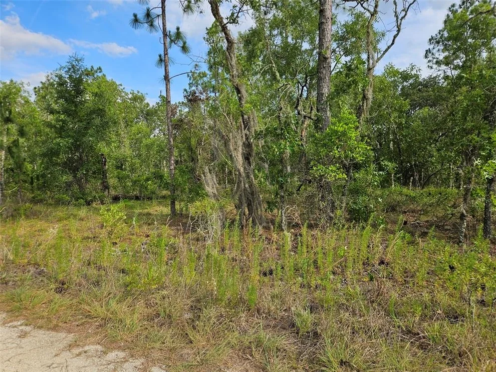 Unit for sale at tbd NE 12TH LANE, WILLISTON, FL 32696