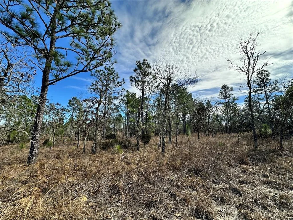 Unit for sale at TBD NE 150TH COURT, WILLISTON, FL 32696