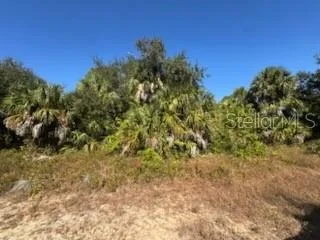 Unit for sale at LOT 4 MATTOX CIRCLE, NORTH PORT, FL 34288