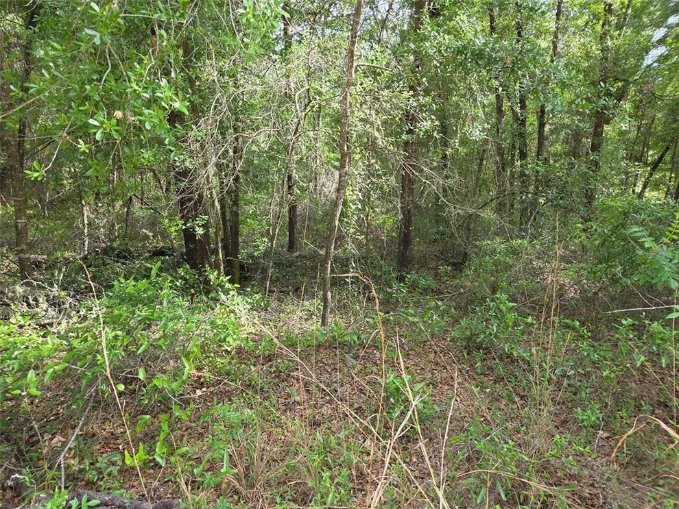 Unit for sale at 0000 NE 85TH STREET, BRONSON, FL 32621