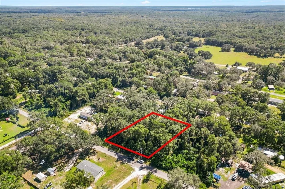 Unit for sale at TBD CR 690, WEBSTER, FL 33597