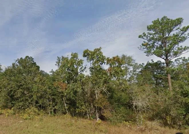 Unit for sale at MELSHIRE DRIVE, CHIPLEY, FL 32428