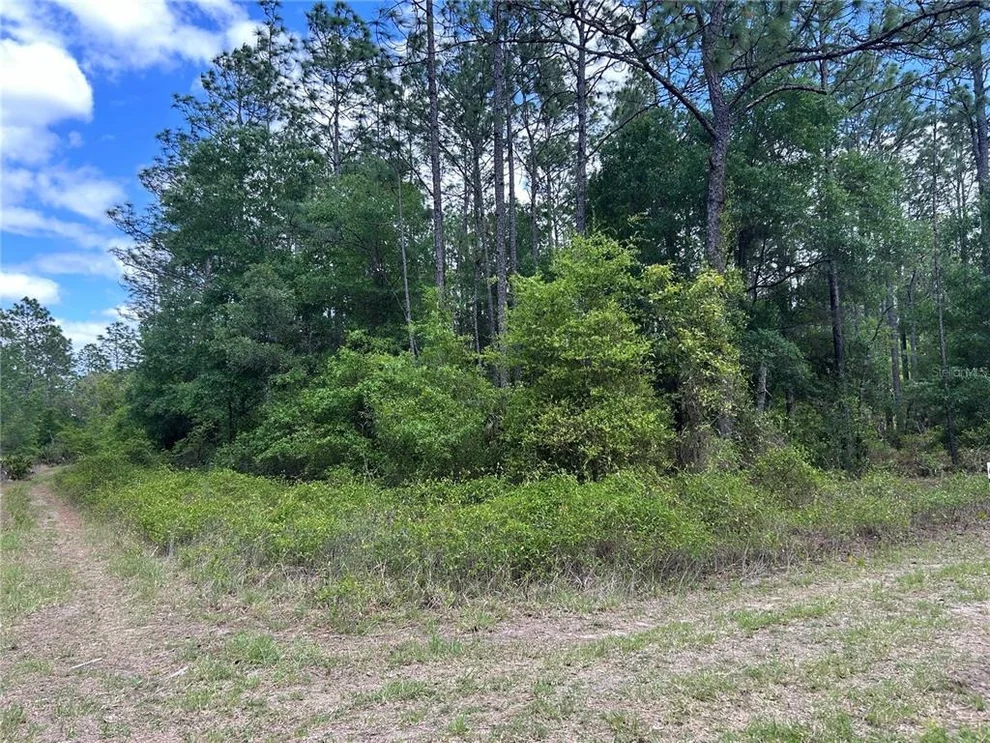 Unit for sale at TBD SW 159TH AVENUE, OCALA, FL 34481