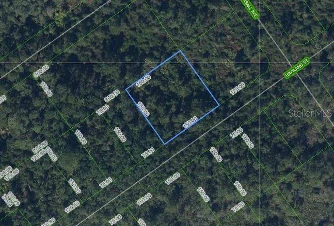 Unit for sale at 1210 HAVILAND STREET, LAKE PLACID, FL 33852