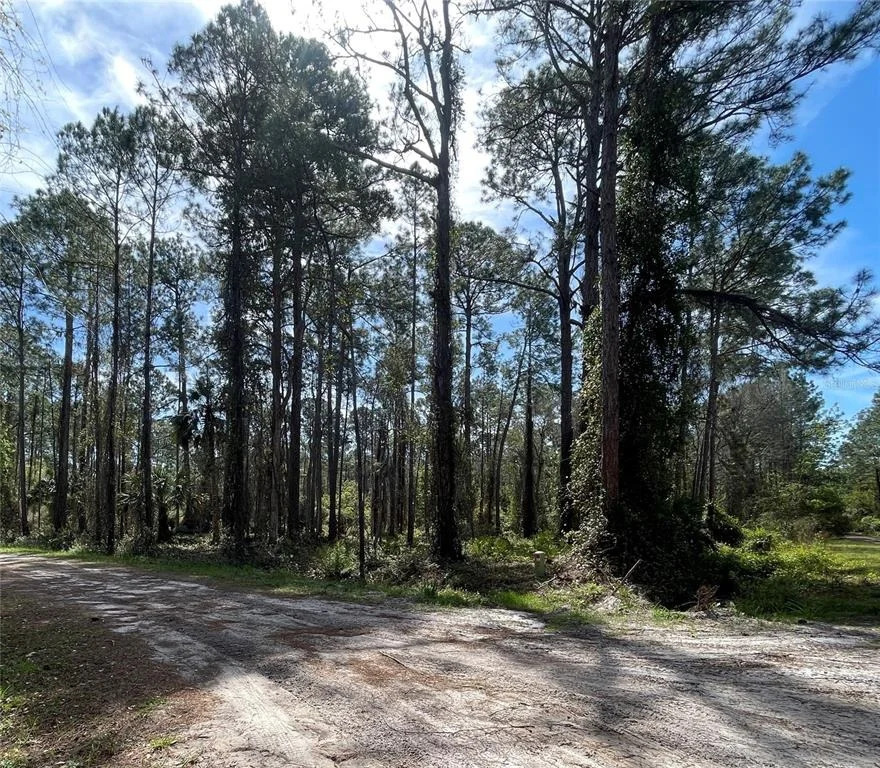 Unit for sale at 107 ROSEWOOD STREET, GEORGETOWN, FL 32139