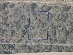 Unit for sale at 0 CALLIANDRA DRIVE, INDIAN LAKE ESTATES, FL 33855