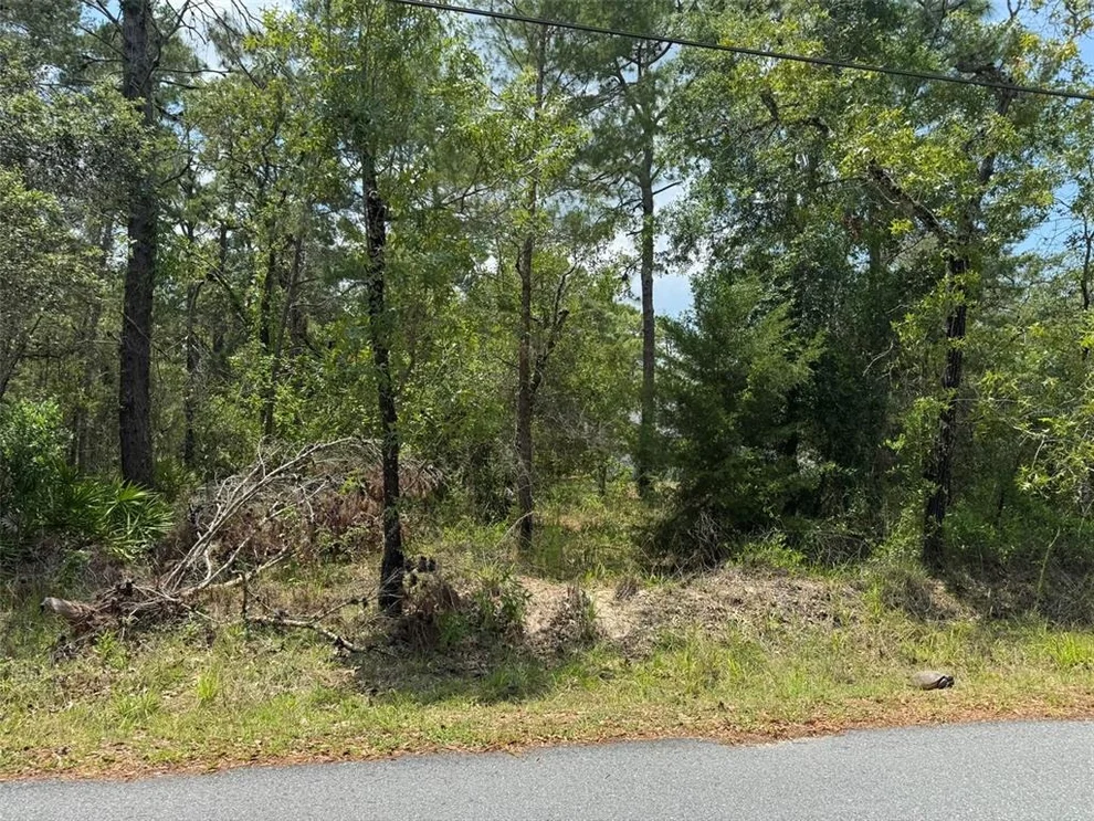 Unit for sale at Lot 62 MICHIGAN AVENUE, WEEKI WACHEE, FL 34613