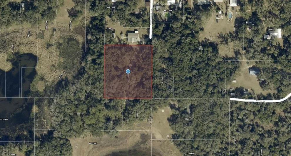 Unit for sale at 128 MOCKINGBIRD LANE, LADY LAKE, FL 32159