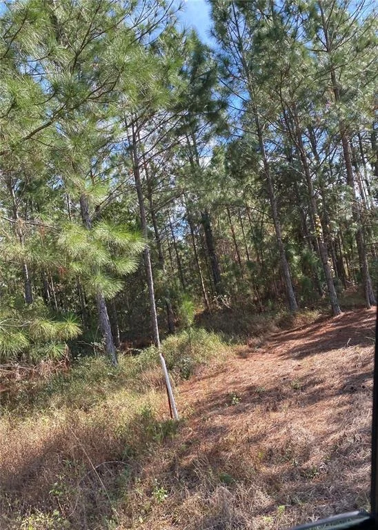 Unit for sale at ROAD E, POLK CITY, FL 33868