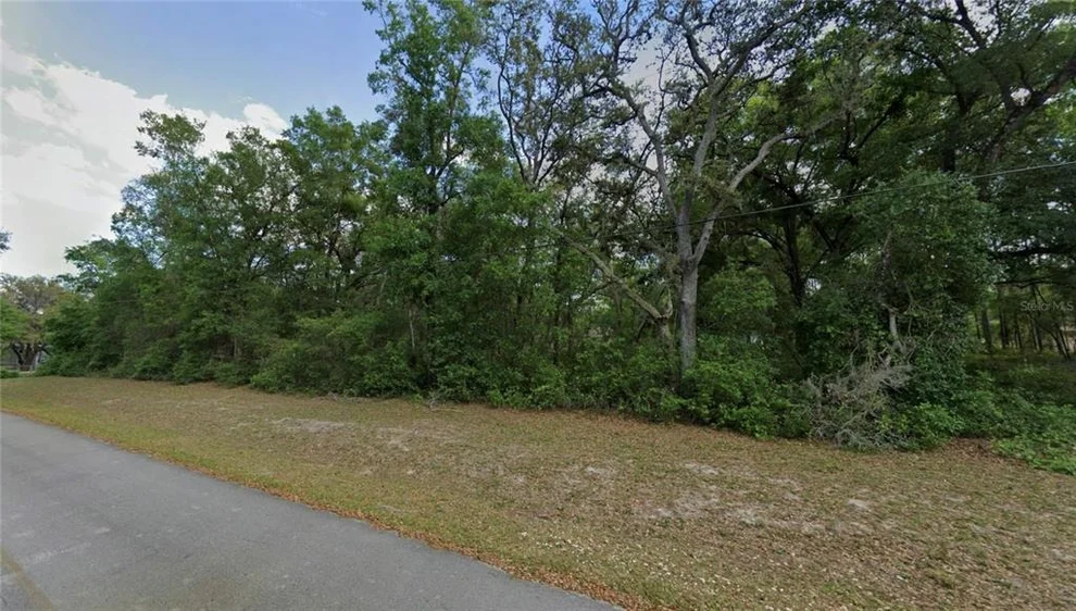 Unit for sale at TBD SE 59TH STREET, OCKLAWAHA, FL 32179