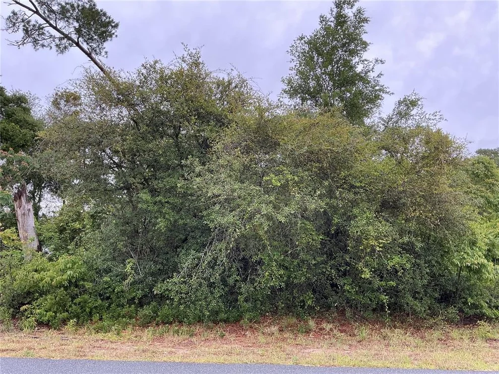 Unit for sale at SW 165TH PLACE, OCALA, FL 34473