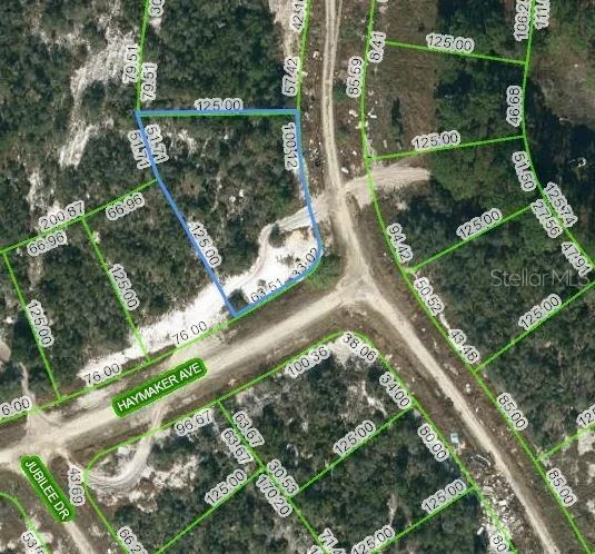Unit for sale at 124 SUMMER OAK COURT, LAKE PLACID, FL 33852