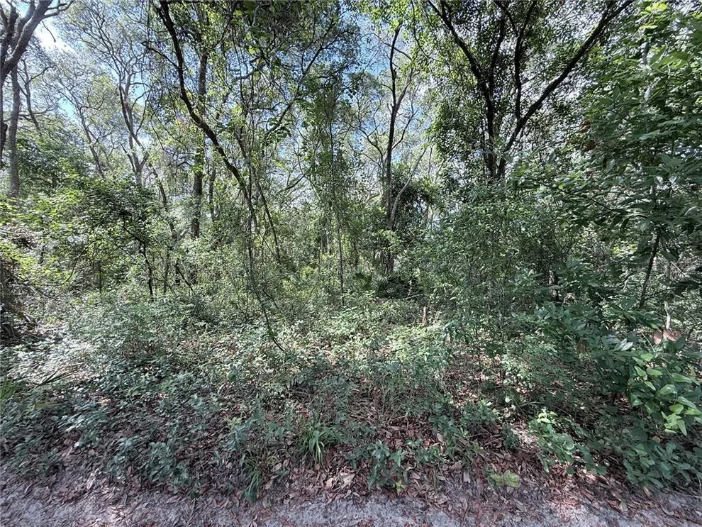 Unit for sale at TBD SW 150TH STREET, DUNNELLON, FL 34432