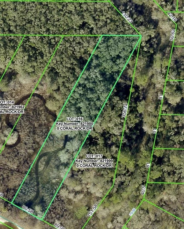 Unit for sale at 34063 CORAL ROCK DRIVE, WEBSTER, FL 33597