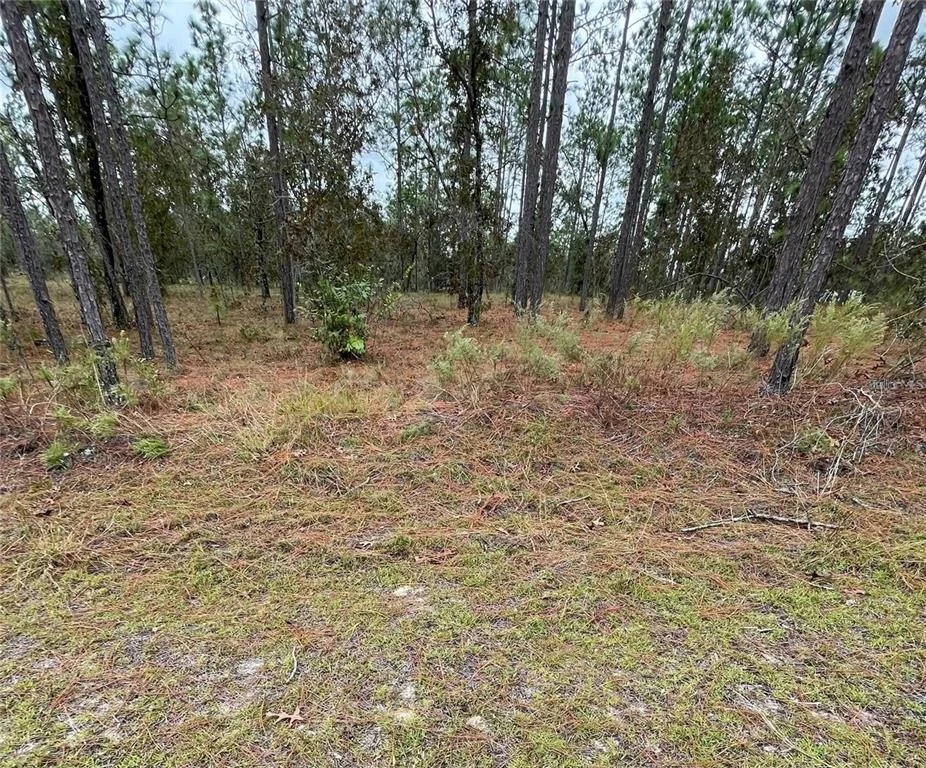 Unit for sale at SE 133RD AVENUE, DUNNELLON, FL 34431