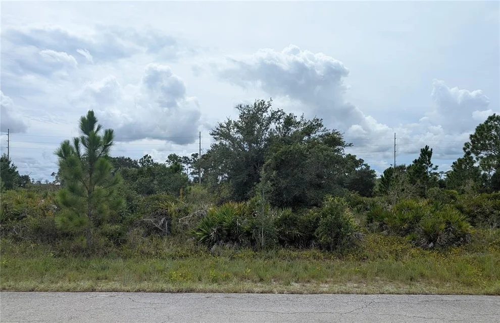 Unit for sale at 3430 GERBER AVENUE, LAKE PLACID, FL 33852
