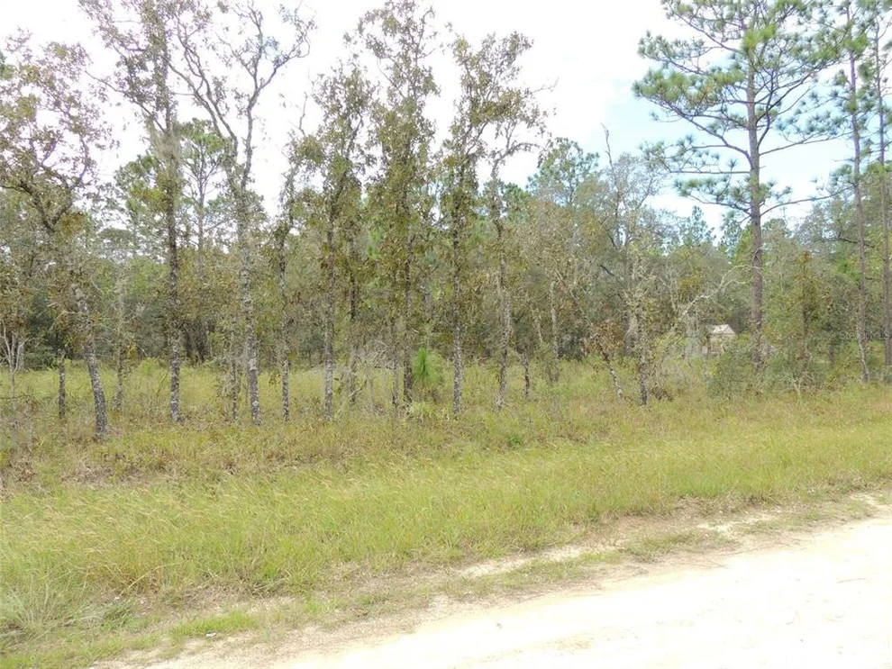 Unit for sale at 690 NE 135TH COURT, WILLISTON, FL 32696