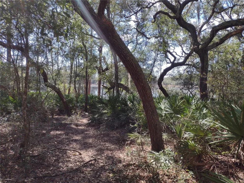 Unit for sale at 89 TUCKER LAKE ROAD, MELROSE, FL 32666