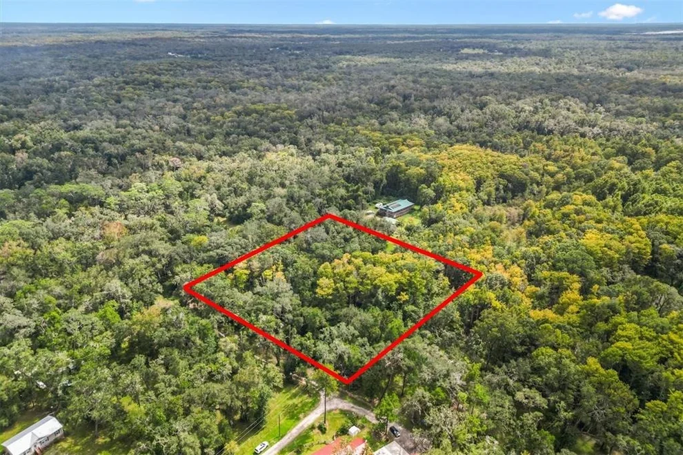 Unit for sale at TBD SW 35TH DRIVE, WEBSTER, FL 33597