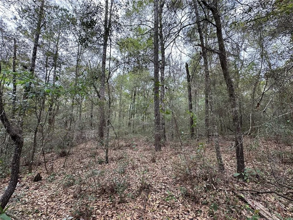 Unit for sale at 176 NE 155TH COURT, WILLISTON, FL 32696