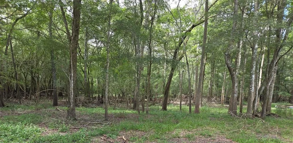 Unit for sale at UNASSIGNED, OLD TOWN, FL 32680