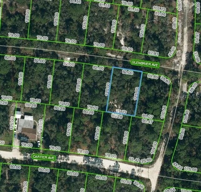 Unit for sale at 341 GLENBRIER AVENUE, LAKE PLACID, FL 33852