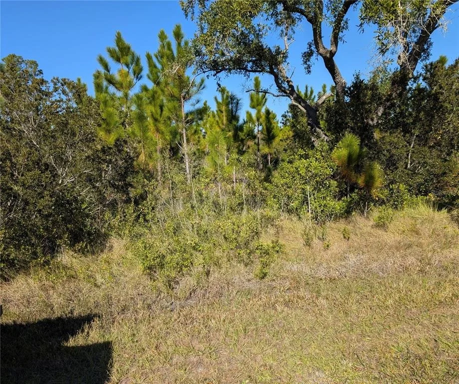 Unit for sale at 0 TROPICANA DRIVE, INDIAN LAKE ESTATES, FL 33855
