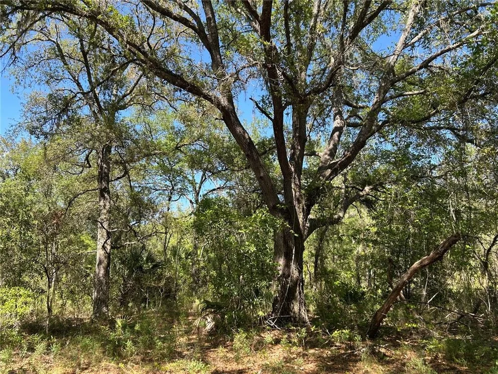 Unit for sale at TBD SE 62ND, MORRISTON, FL 32668