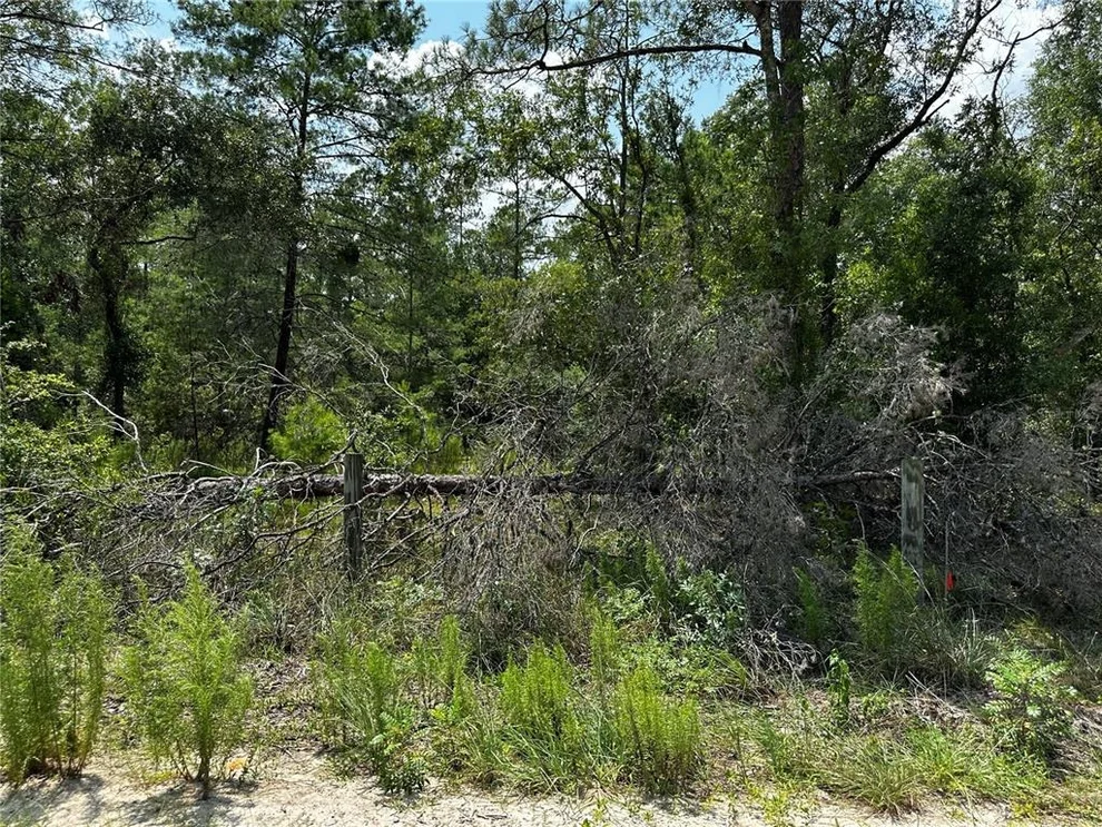 Unit for sale at 6270 NE 139TH AVENUE, WILLISTON, FL 32696
