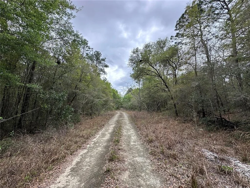 Unit for sale at tbd NE 154TH AVENUE, WILLISTON, FL 32696