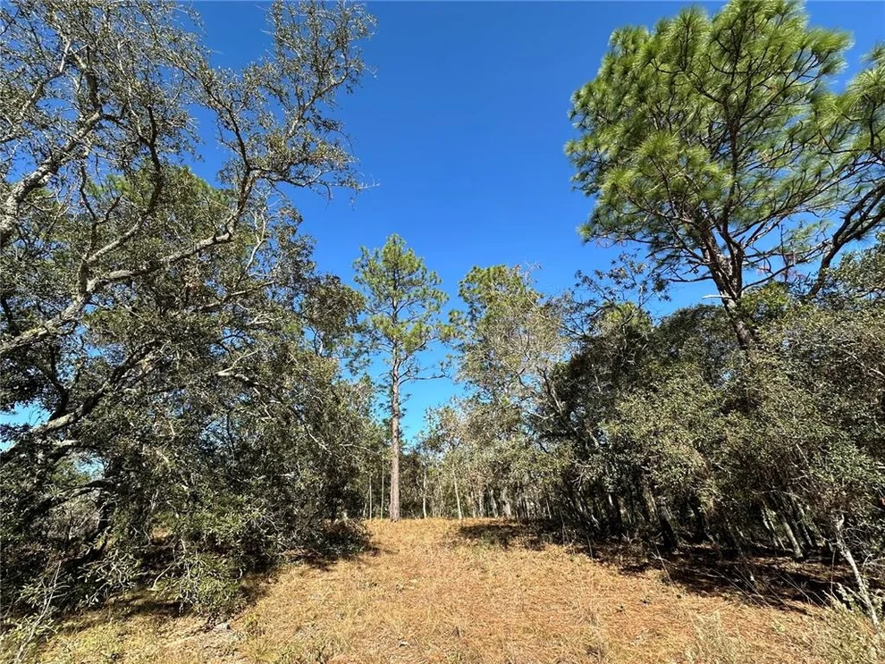 Unit for sale at 14731 SE 5TH PLACE, WILLISTON, FL 32696