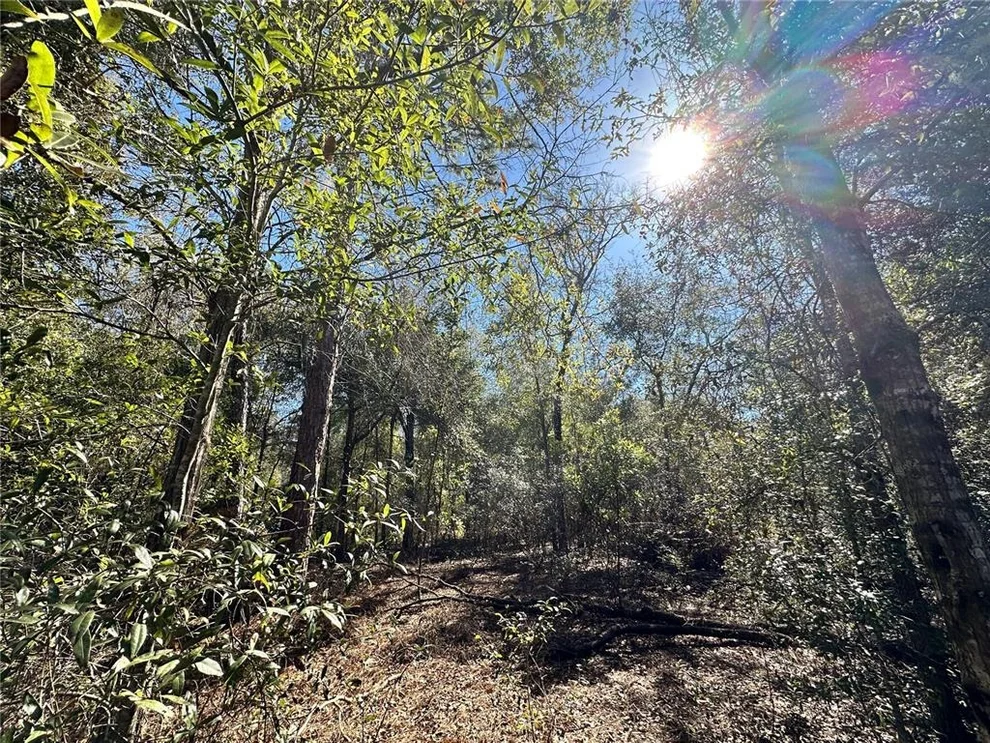 Unit for sale at TBD NE 85TH AVENUE, BRONSON, FL 32621