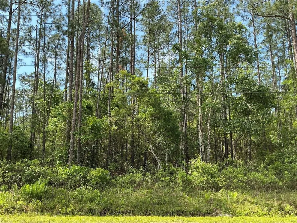 Unit for sale at 4425 JOYCE STREET, HASTINGS, FL 32145
