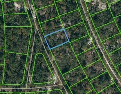 Unit for sale at 387 BLUE HORIZON DRIVE, LAKE PLACID, FL 33852