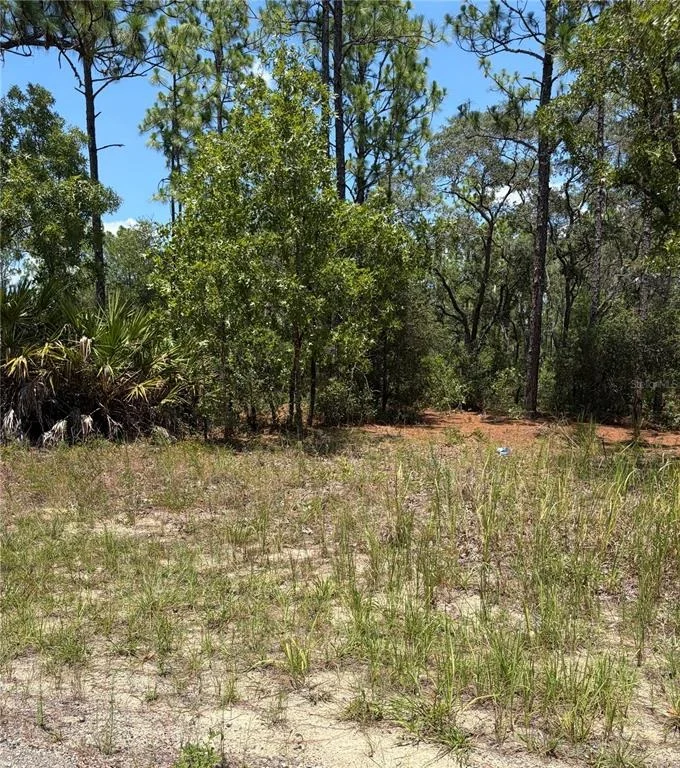 Unit for sale at 3711 W NORWICK PLACE, CITRUS SPRINGS, FL 34433