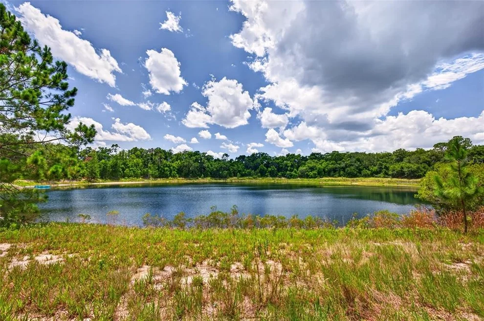Unit for sale at MALAUKA LOOP, OCKLAWAHA, FL 32179