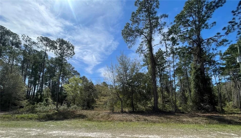 Unit for sale at 103 ROSEWOOD STREET, GEORGETOWN, FL 32139