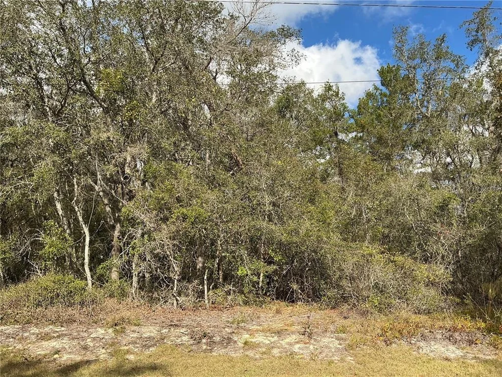 Unit for sale at LOT 8 FISHER TRACE, OCKLAWAHA, FL 32179