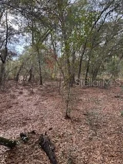 Unit for sale at 00 RIVIERA DRIVE, INTERLACHEN, FL 32148