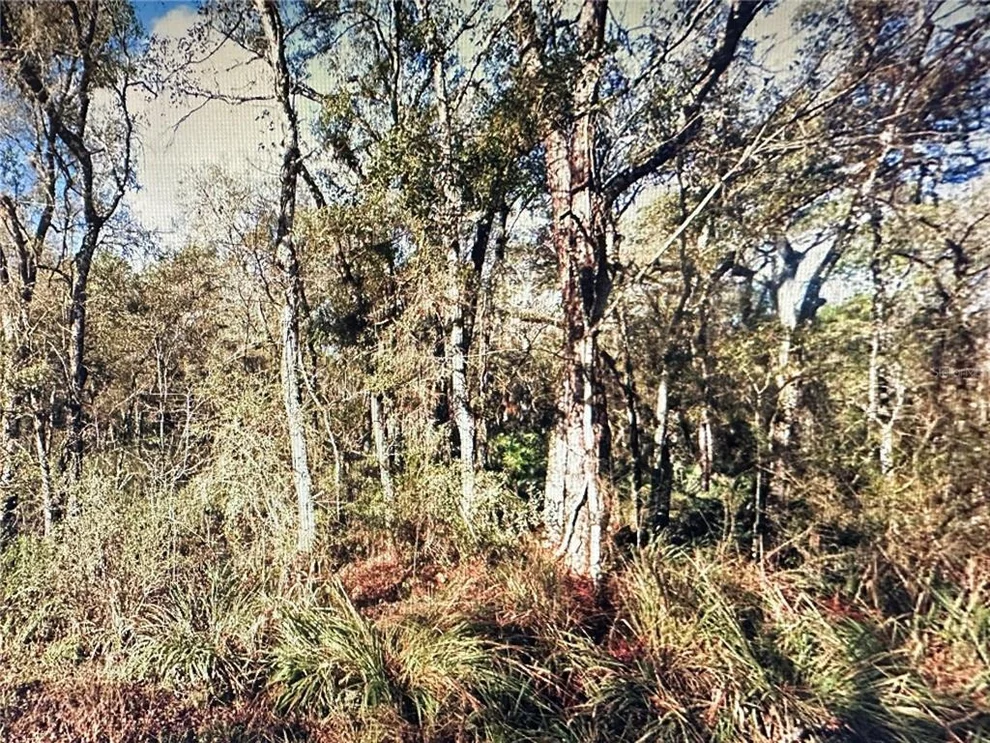 Unit for sale at TABLE ROCK DRIVE, WEBSTER, FL 33597