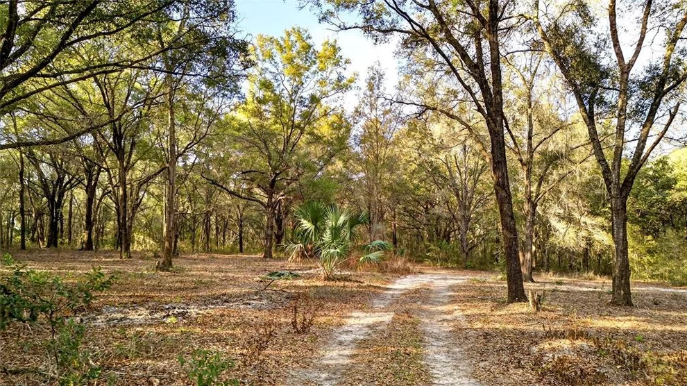 Unit for sale at SE 180TH STREET, WEIRSDALE, FL 32195