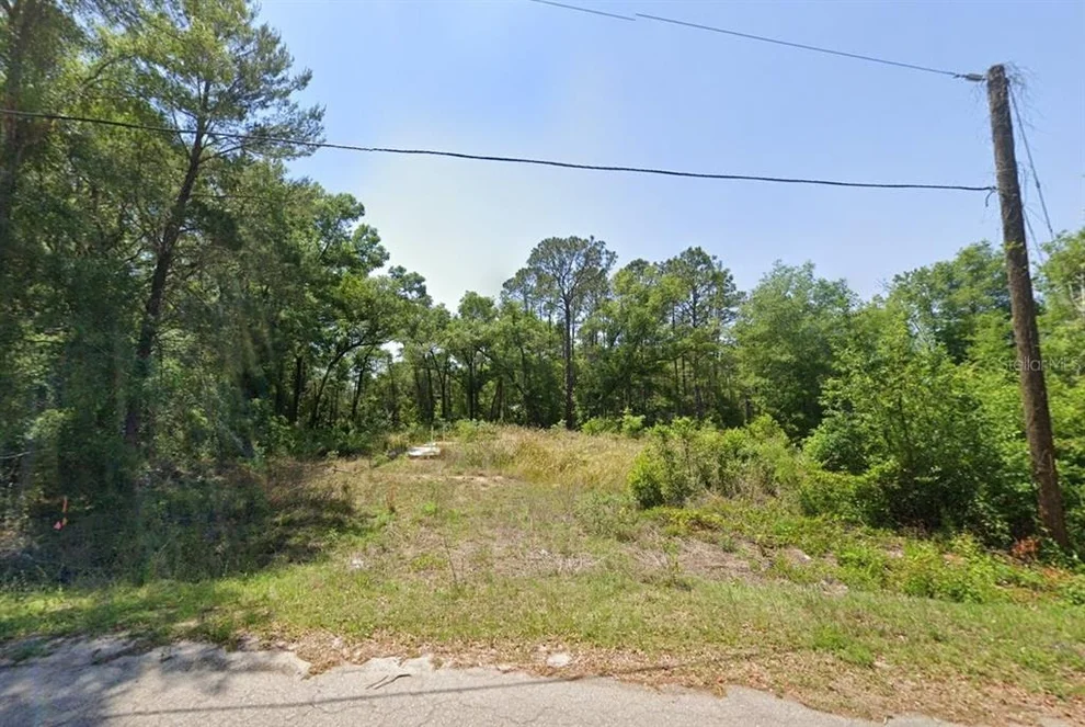 Unit for sale at 77 BAY COURT PASS, OCKLAWAHA, FL 32179