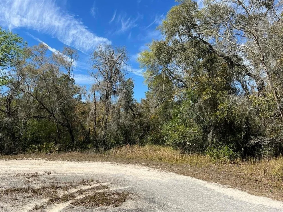 Unit for sale at 0 RIVERSTONE STREET, WEBSTER, FL 33597