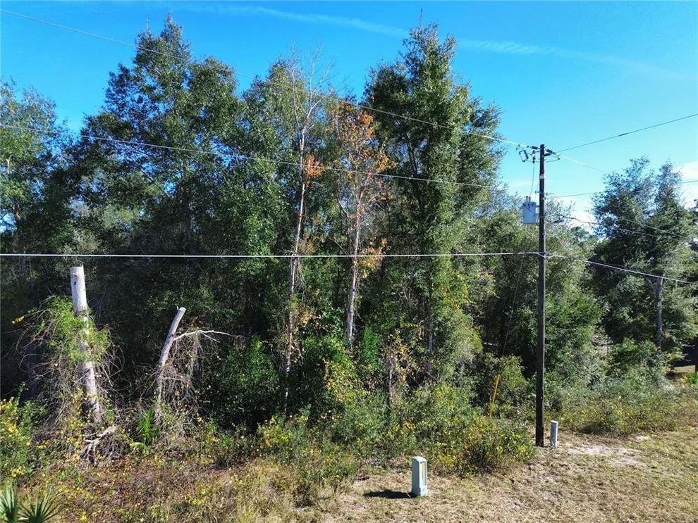 Unit for sale at 0 SE 178TH AVENUE, SILVER SPRINGS, FL 34488