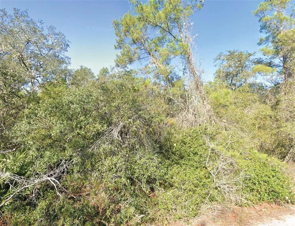 Unit for sale at FISHER TRAIL, OCKLAWAHA, FL 32179
