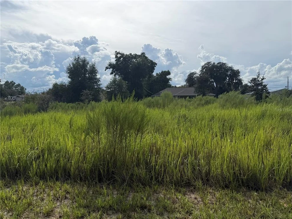 Unit for sale at TBD LOCUST PASS LOOP, OCALA, FL 34472