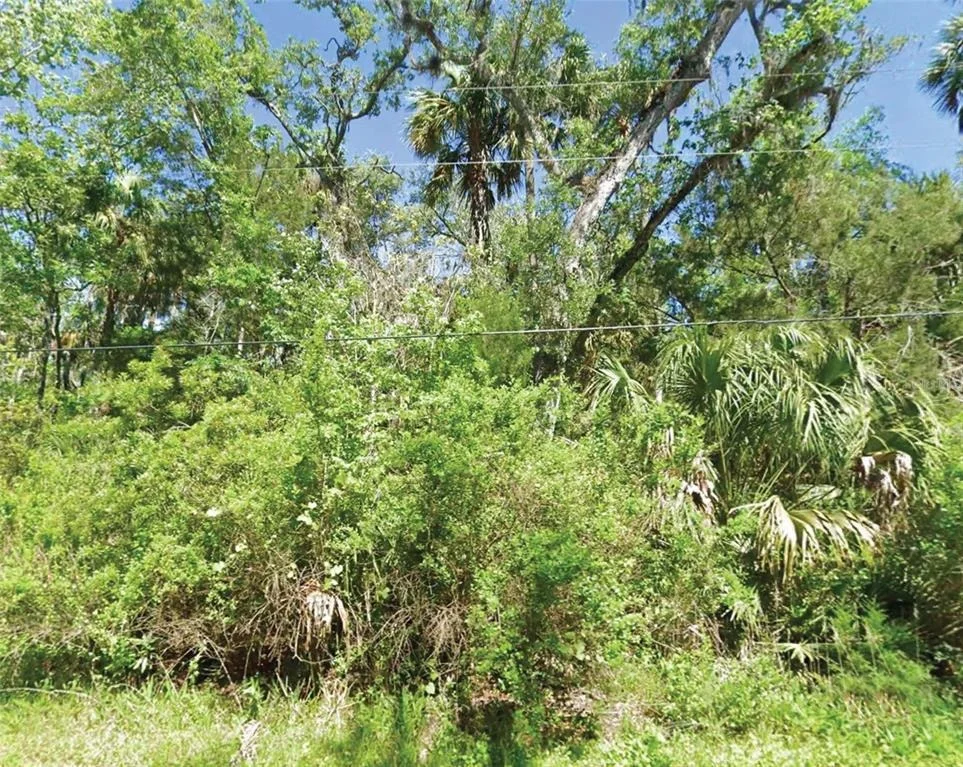 Unit for sale at 10243 W PALMETTO STREET, HOMOSASSA, FL 34448