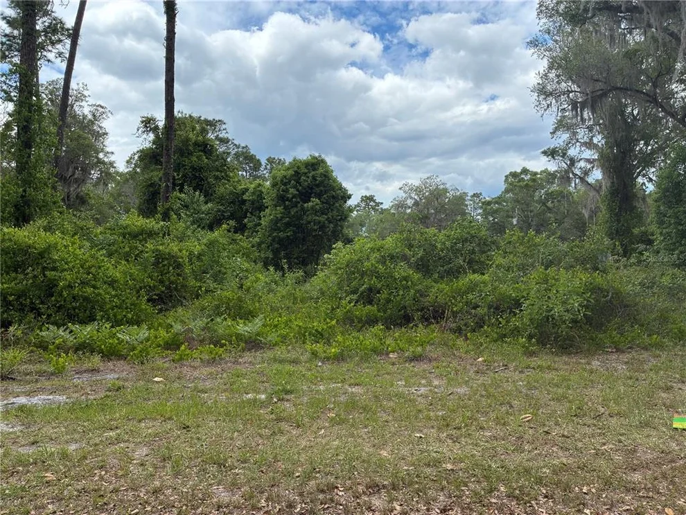 Unit for sale at 00 SE 87 STREET, OCKLAWAHA, FL 32179
