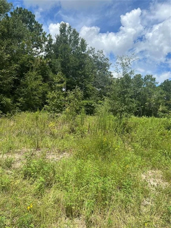 Unit for sale at SE 42ND TERRACE, SUMMERFIELD, FL 34491