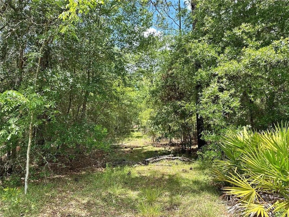 Unit for sale at 13070 NE 78TH PLACE, BRONSON, FL 32621